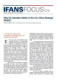 Why Do Subsidies Matter in the U.S.-China Strategic Rivalry?