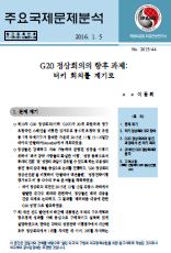 G20 정상회의의 향후 과제: 터키 회의를 계기로