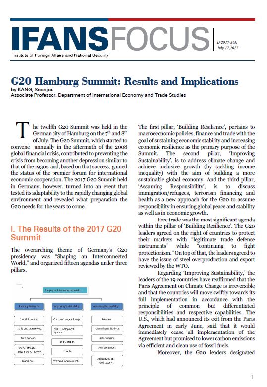 G20 Hamburg Summit: Results and Implications